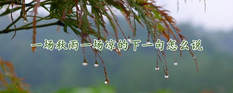 一场秋雨一场凉的下一句怎么说