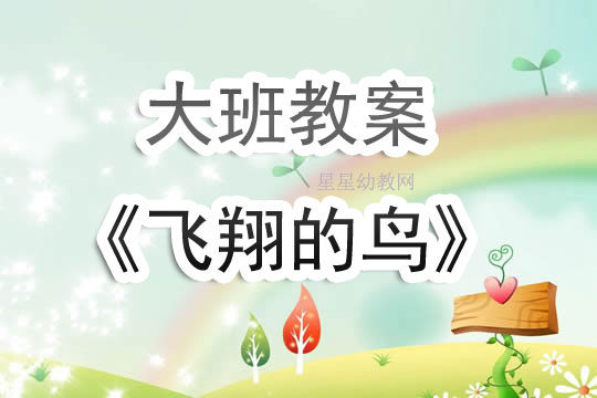 幼儿园大班教案《飞翔的鸟》含反思