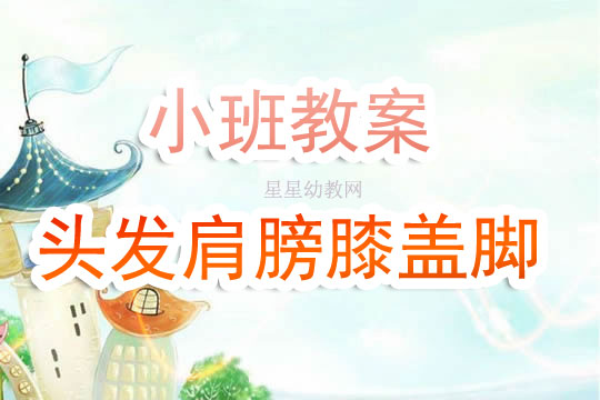 幼儿园小班音乐教案《头发肩膀膝盖脚》