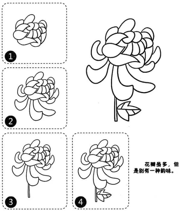 菊花简笔画怎么画步骤图解（3种）