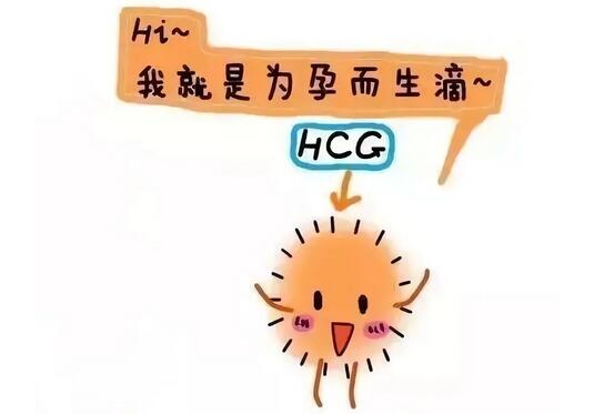 如何根据HCG值判断怀孕或宫外孕？